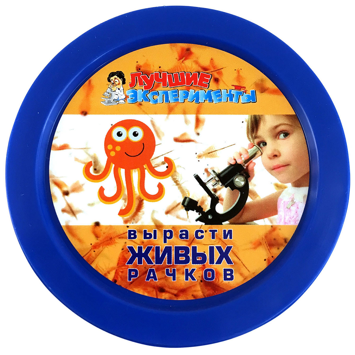 Вырасти живого рачка, ведёрко