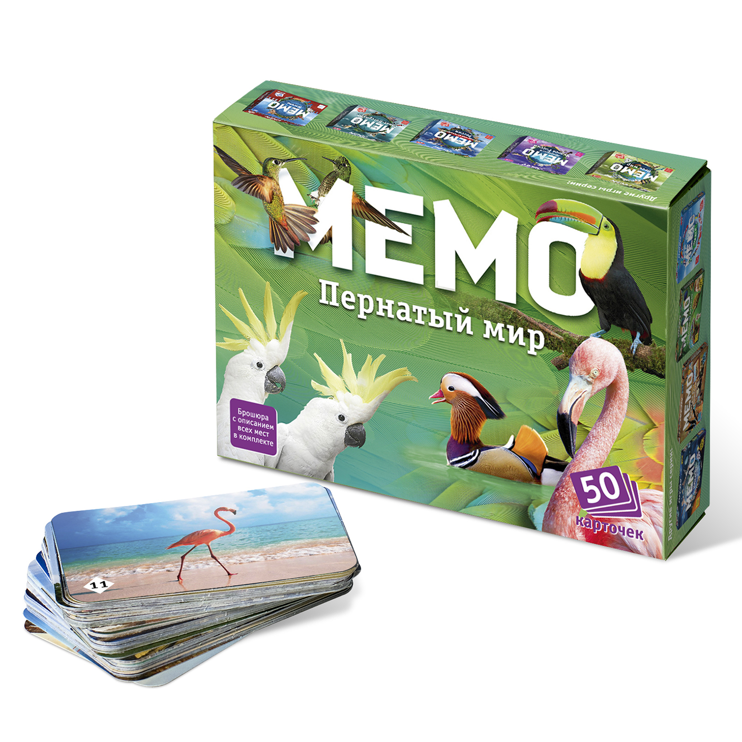 Мемо "Пернатый мир" 50 карточек