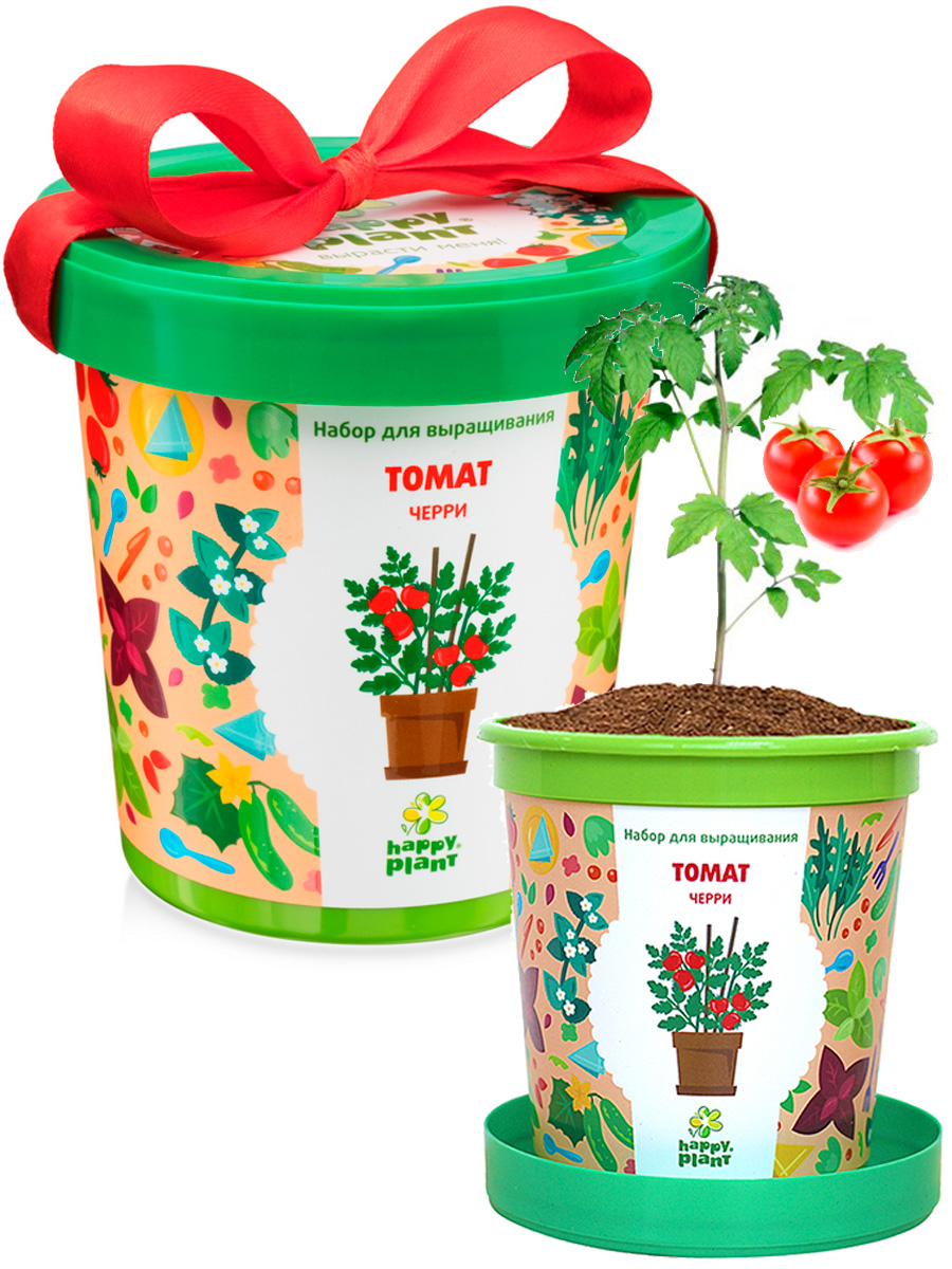 Набор для выращивания растений "Томат черри"